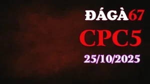 Clip gà chọi trực tiếp C5 full HD ngày 25/10/2025
