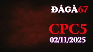 Video đá gà trực tiếp C5 hôm nay ngày 02/11/2025