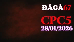 Clip trực tiếp đá gà CPC5 ngày 28012026 full HD