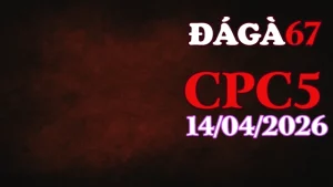 Xem video đá gà Thomo CPC5 ngày 14042026