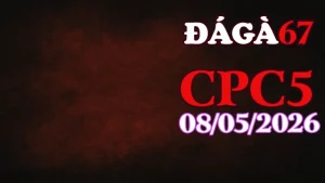 Video trực tiếp đá gà CPC5 ngày 08052026