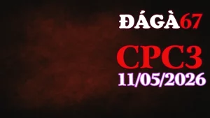 Video trực tiếp đá gà thomo CPC3 ngày 11052026
