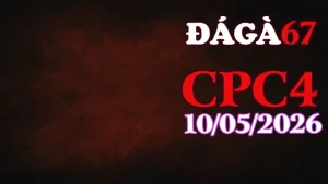 Video trực tiếp đá gà thomo CPC4 ngày 10052026